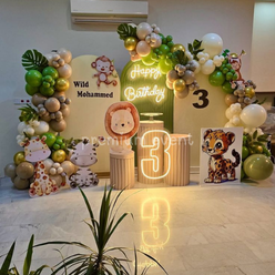 Balloon decoration setup by Balloon Decoration Ahmedabad